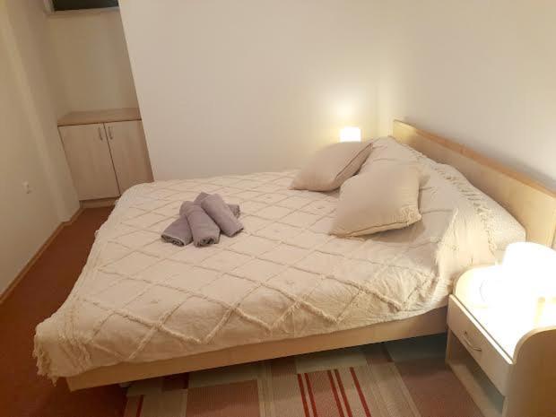 Apartmani Delas 프예스차나 우발라 외부 사진